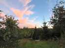 Sunset at camp