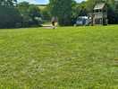The park