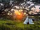 Sunrise in the morning