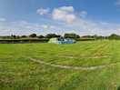 Family field