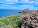 View on costal path