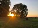 Sunset.