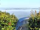 Foggy