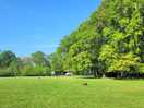 Very well maintained field.