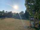 Play field