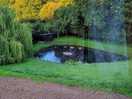 Pond