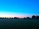 Bird song waking you up at 4am has its advantages