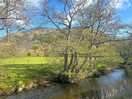 View of the stream