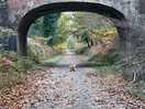 Local railway line walk
