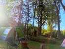 Camping in the trees