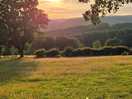 Sun set