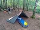 Woodland pitch