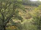 One of the walks