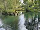 Very pretty pond