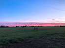 Sunset over the abbey