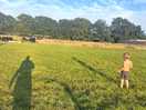 So much open space to play in