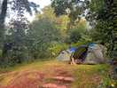 Birchwood pitch with 2 3man tents