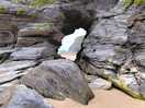 Newquay beach