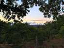 View from the campsite