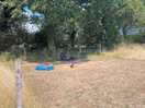 Our pitch before setting up. spot the dog!