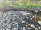 Stream next to pitch