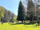 Meadow field with picturesque pond