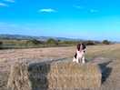 Part of a 4 mile circular walk from site