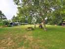 Camping site