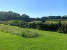 Lovely, open fields