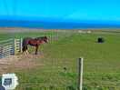 View from our motorhome x