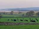 View out to kent estuary