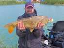 Mirror carp and lake on site