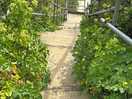 Steps to the beach