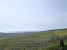 View from the site