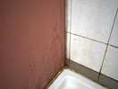 Shower trays