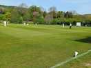 Over 60s cricket match
