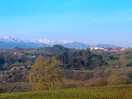 The view from our pitch