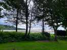 View from motorhome