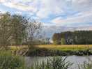 River and next field over with sheep, blue sky