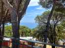 View from pool bar
