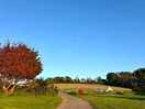 Campsite