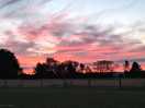 Sunset sky