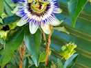 Pretty flower outside the bathroom