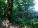 Walkers paradise