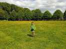 Buttercups everywhere!