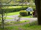 View of the campsite from the woodland walk