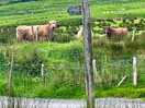 Working farm location