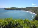 Wild coast
