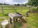 A game of chess by the pond
