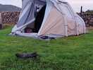 Tent at the campsite